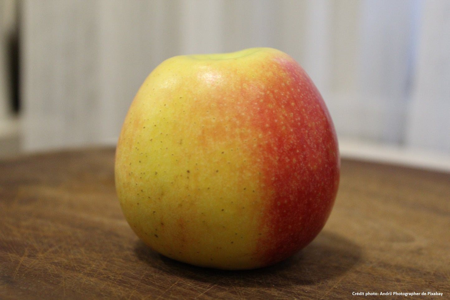 Pommier "Blandureau"