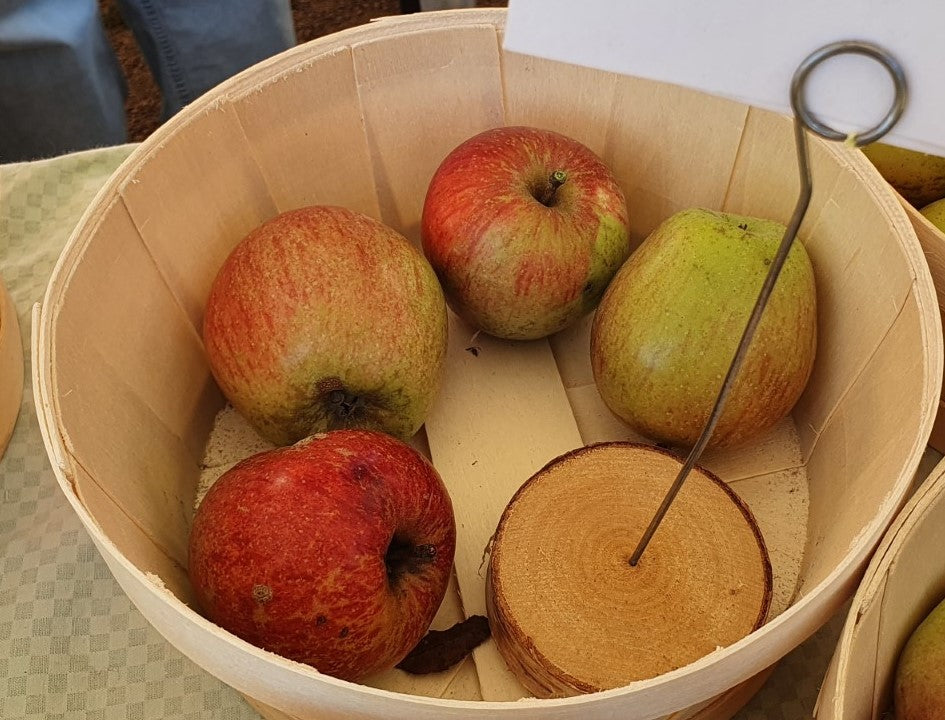 Pommier "Bondon"