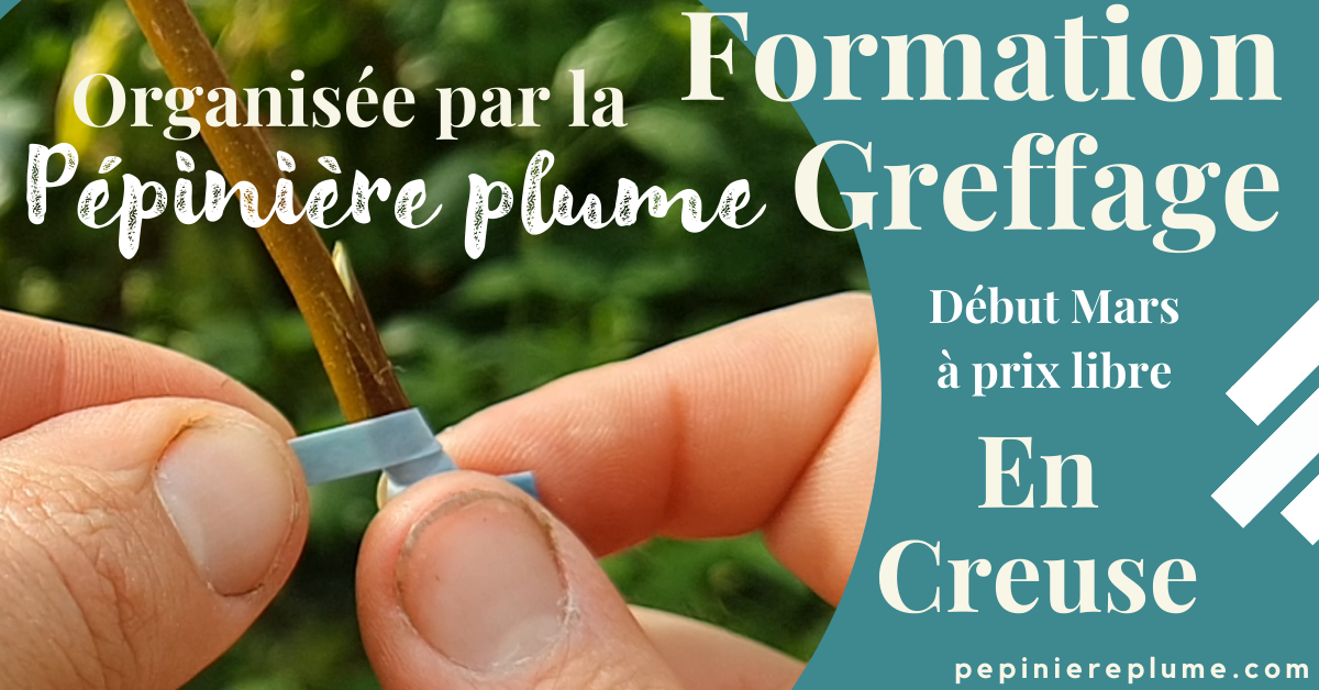 Formation Greffage Mars 2025 (CREUSE)