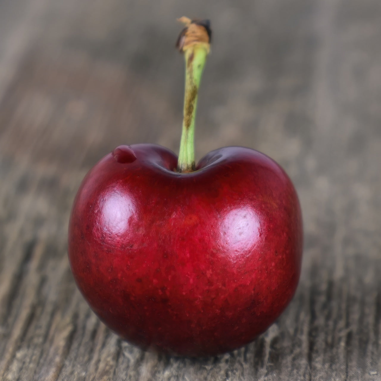 Cerisier "Grosse cerise sucrée"