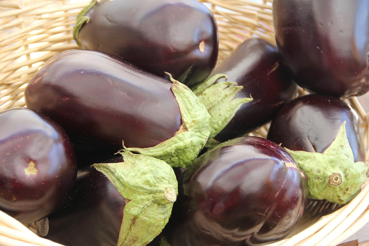 Aubergine "Black Beauty
