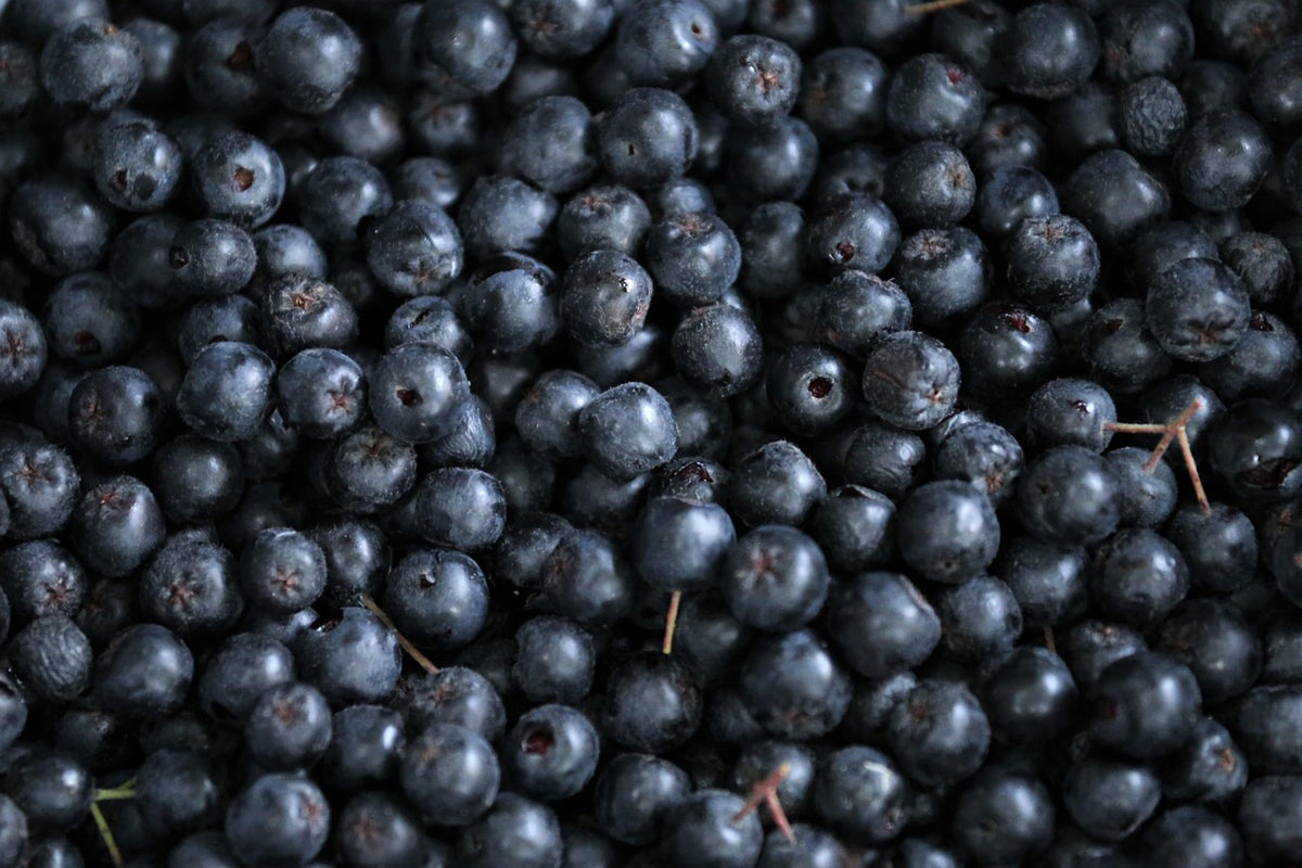 Aronia 'amit' (Aronie mitschurinii)