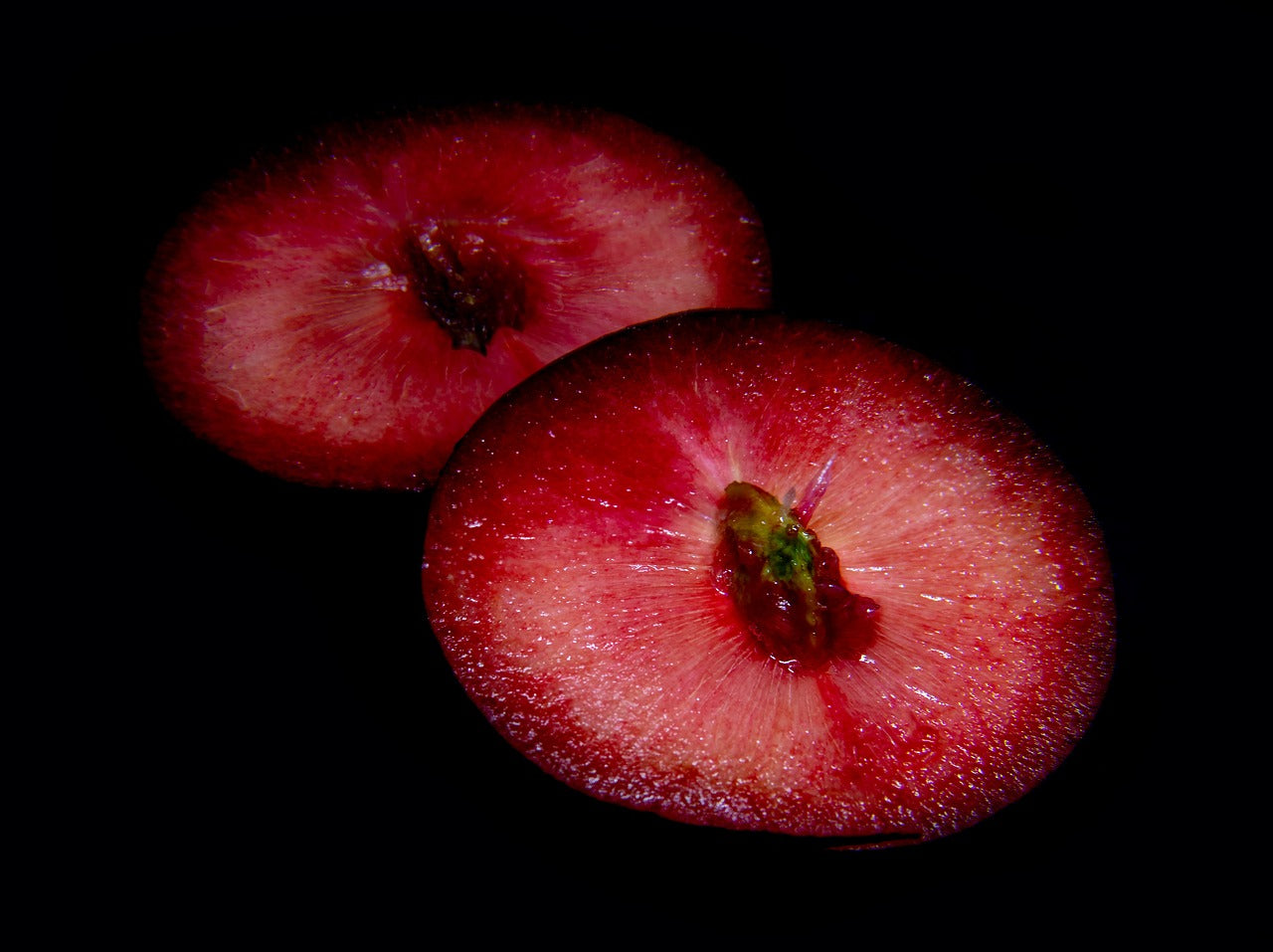 Abricotier noir "Black Forest"