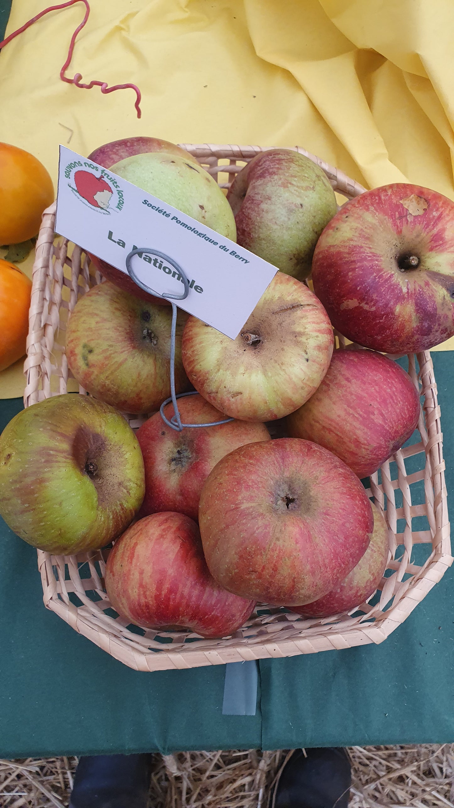 Pommier "Nationale"