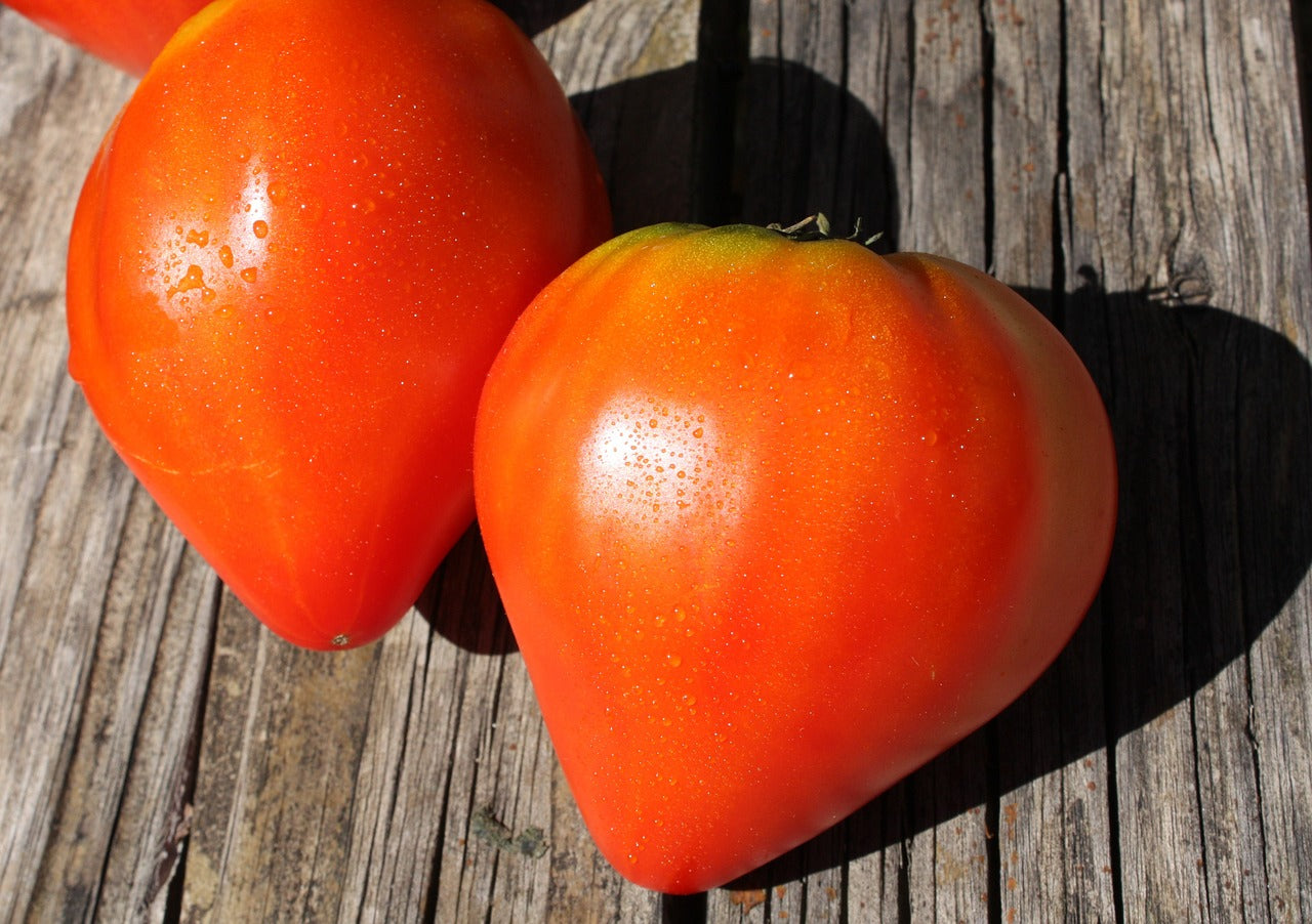 Tomate "Coeur de boeuf"
