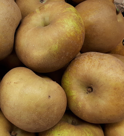 Pommier "Vernade"// "Versane"