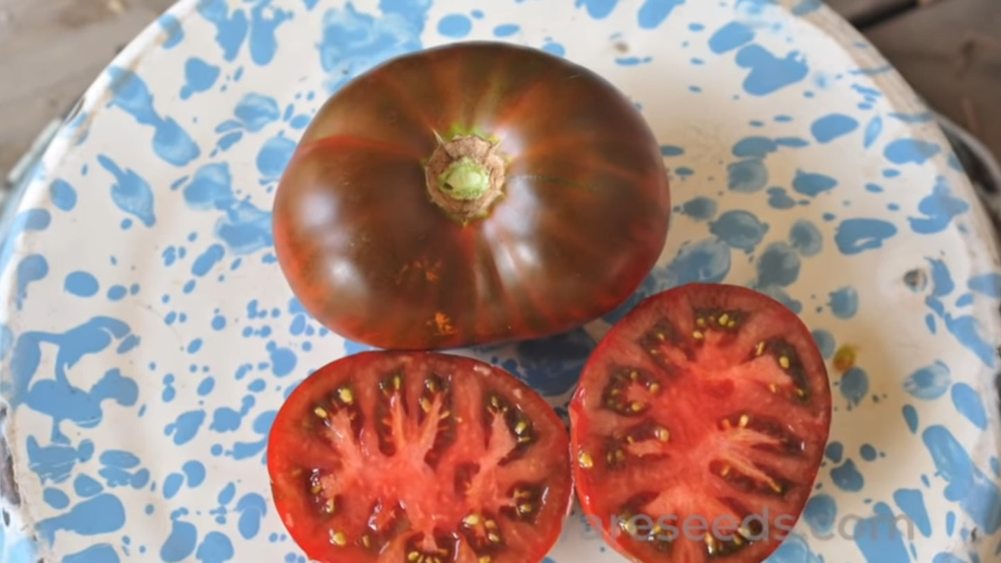 Tomate "Paul Robson"