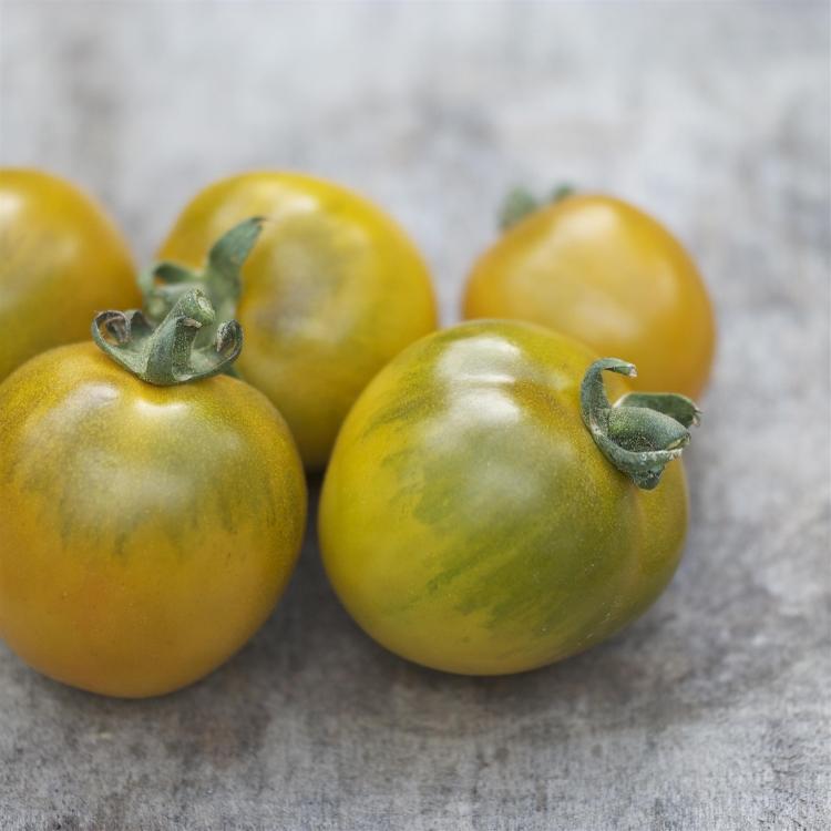 Tomates Raisins Tomate