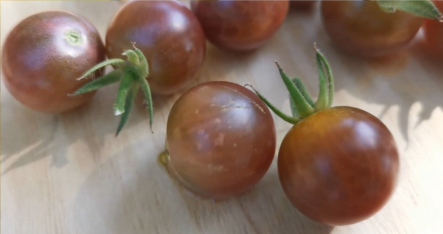 Tomate "Black cherry"