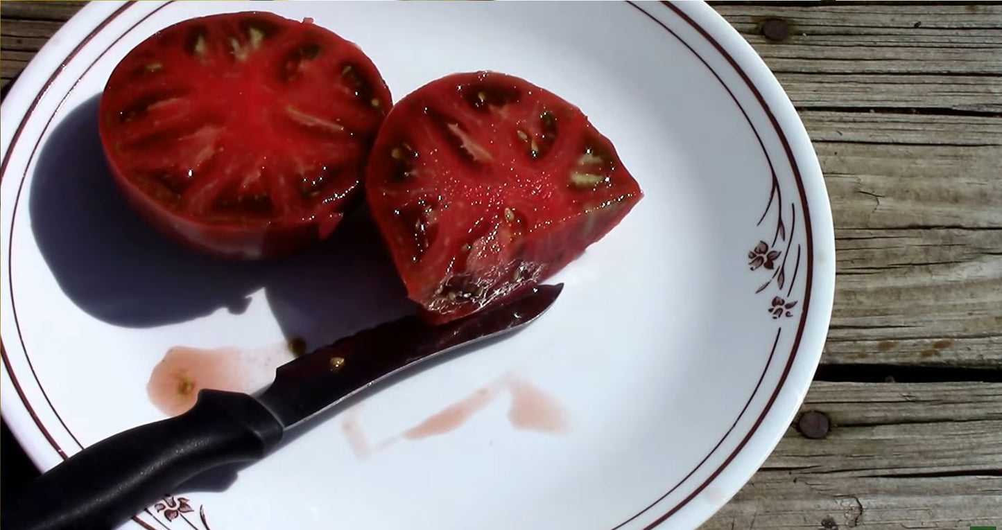 Tomate "Cherokee purple"