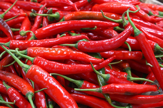 Piment "Sucette de provence"
