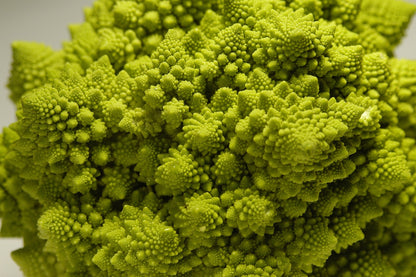 Chou Romanesco