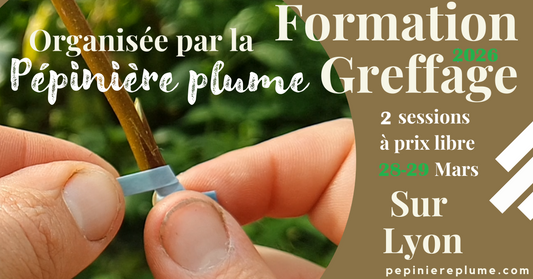 Formation Greffage Mars 2026 (LYON)