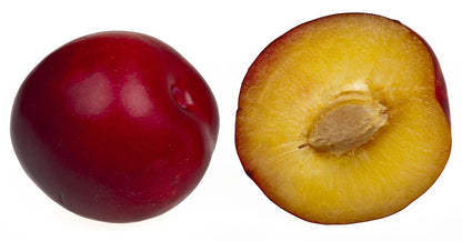 Plumcot "Nostrano" (croisement abricot x prune)