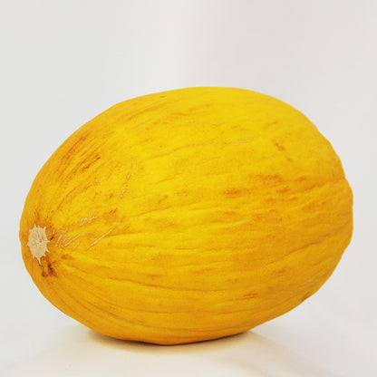 Melon jaune canari