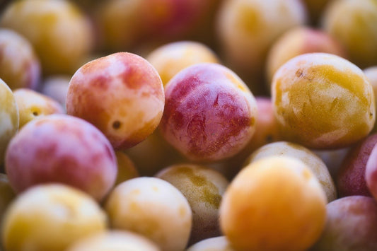 Mirabelle "Lupersat"