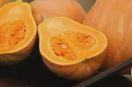 Courge "Sucrine du berry"